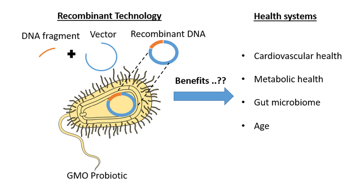 Graphical abstract